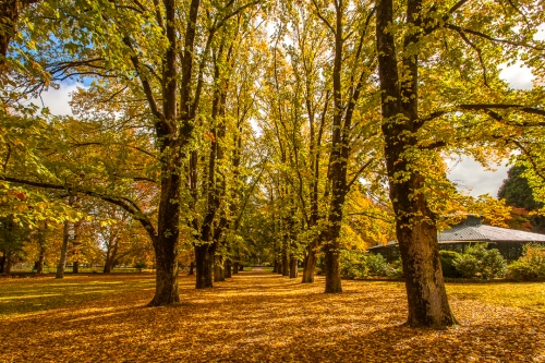 Cook Park